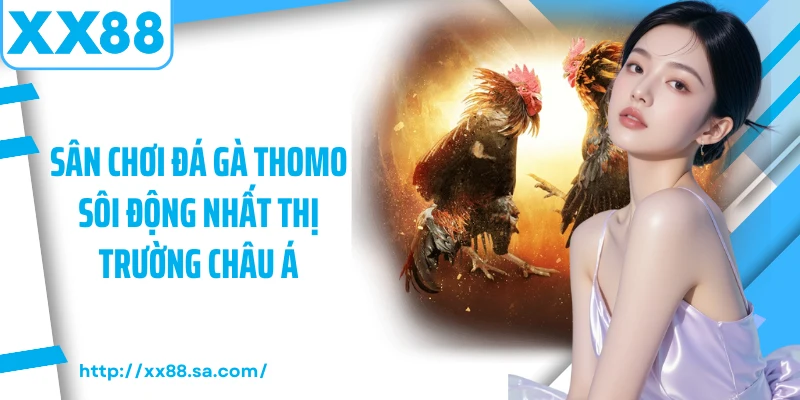 Sân chơi đá gà thomo sôi động nhất thị trường châu Á